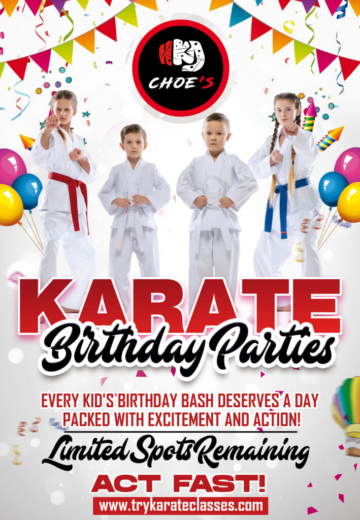 karate birthday parties in jefferson